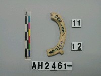 藏品(玉玦殘件)的圖片